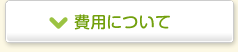 費用について