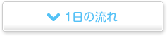 1日の流れ