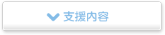 支援（療育）科目