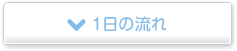 1日の流れ